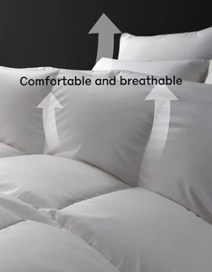 Couette matelassée en duvet d'oie 95% coton jacquard, 140 fils, douce, respirante, toutes saisons, très vendue - Product Image 6