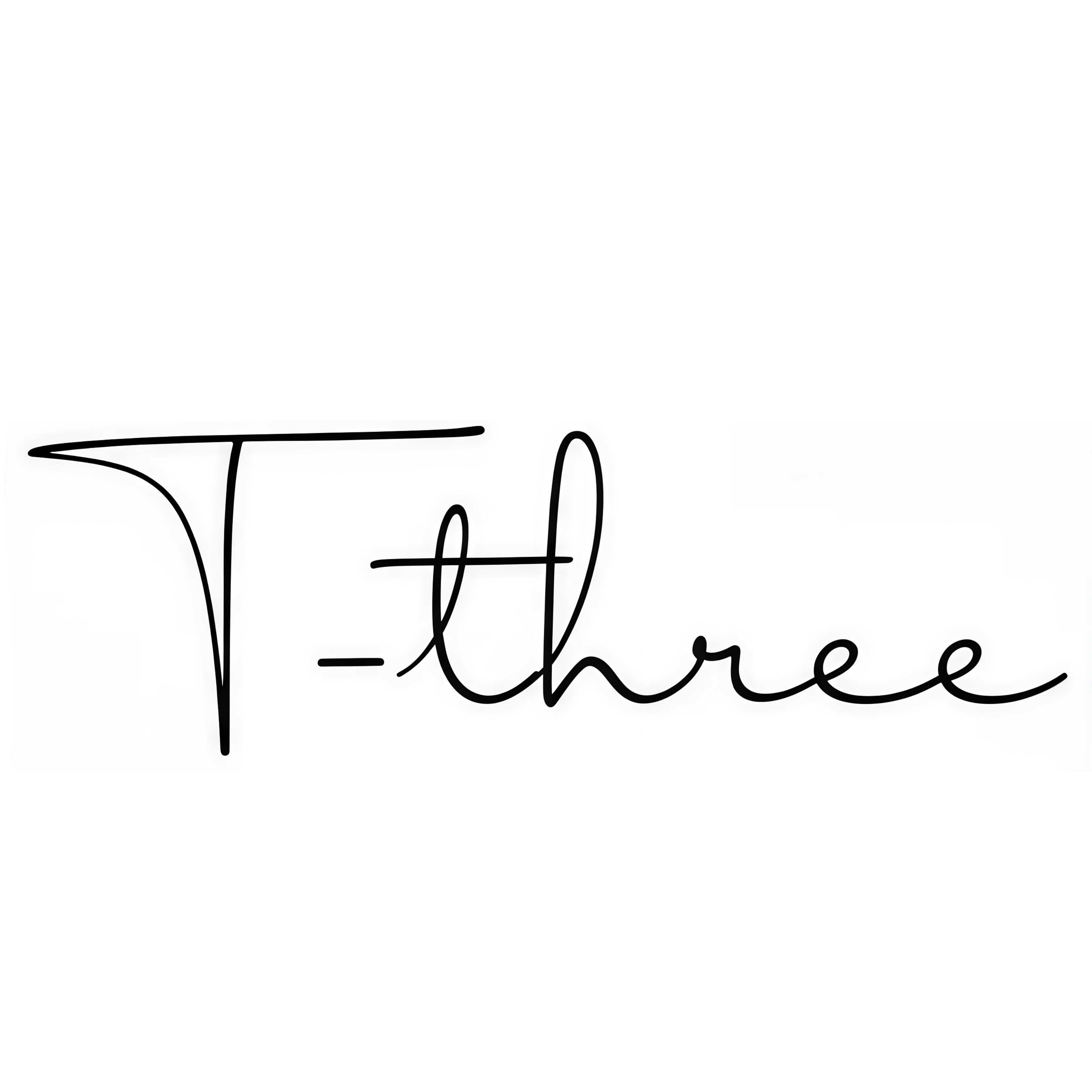 Yantai T-Three Hotel Supplies Co., Ltd. logo