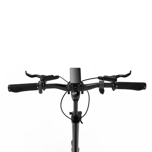 Patinete Eléctrico Plegable de Dos Ruedas S10 para Adultos, 1000W/2000W, 60v18AH, Aluminio, OEM/ODM, Dropshipping, S10-S-Z 1000w/2000w - Product Image 3