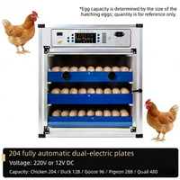 Plateau à œufs pour incubateur compatible avec les incubateurs à 64/128 œufs, directement de l'usine