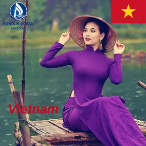 Agent maritime porte à porte fret d'importation et d'exportation le bateau de Chine au Vietnam