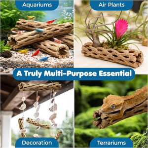 Bûches d'escalade en bois de Cholla, jouet à mâcher pour poissons d'aquarium, escargots et crevettes, bois flottant, décoration pour poissons tropicaux d'eau douce, ajoute une beauté brute - Product Image 6