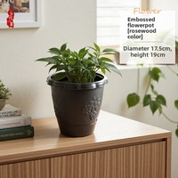 Plante succulente artificielle verte en résine plastique, pot de fleurs au design rustique classique, écologique, décoration de jardin d'intérieur, violet