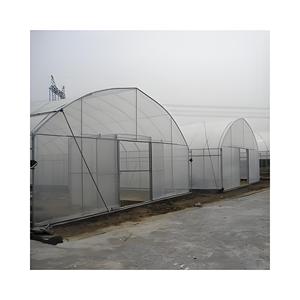 Estufa plástica do túnel do único arco gótico para o filme plástico dos vegetais Caminhada pequena antienvelhecimento da casa verde dentro