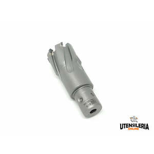 หัวเจาะแกนโลหะพิเศษ Fein hm พร้อมตัวยึดแบบเร็วขนาดเส้นผ่านศูนย์กลาง13มม. - Product Image 3