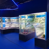 Aquariums à colonne rectangulaire à prix compétitif Aquariums Poissons Design moderne Aquarium du monde océanique Réservoirs carrés