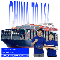 Importador, Agente de Carga, Mercancías a Granel, de China a Canadá, Reino Unido, UE, Australia, México, Transporte Marítimo, Puerta a Puerta, EXW, FOB, DDP, LCL, FCL, Aduanas