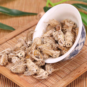 Extrait de mite de ver <span class=keywords><strong>à</strong></span> soie mâle de haute qualité Extrait de mite de soie mâle de haute qualité/Poudre d'extrait de Bombyx Mori avec <span class=keywords><strong>prix</strong></span> d'usine - Product Image 3