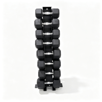 Support vertical commercial pour haltères hexagonaux, neuf, pour salle de sport, équipement de fitness, capacité de stockage 8/10 paires, vente en gros