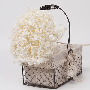 Hoa Cẩm Tú Cầu Anna Tươi Bảo Quản Nguyên Liệu Tự Làm Hoa Cẩm Tú Cầu Bền Lâu - Product Image 6