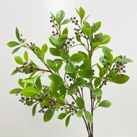 Ranting Eucalyptus Berdaun Asli dengan Biji, Grosir Ranting Buah untuk Rangkaian Bunga Dekorasi Rumah