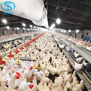 Gallinero de Acero Estilo Rústico para Cría de Pollos de Engorde en Granjas, Venta Caliente, 10000 Aves - Product Image 2