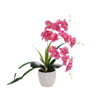 Nieuwe aanwinst decoratie bloemen orchidee binnenplant kunstplant pot simulatie Phalaenopsis orchidee planten bonsai