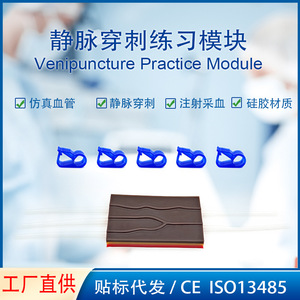 Modèle médical d'entraînement à la simulation d'infusion intraveineuse avec clip de bande en silicone à trois couches simulées pour l'enseignement - Product Image 5