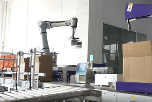 Bras robotique collaboratif de palettisation à vitesse d'empilage élevée pour les opérations d'entrepôt automatisées - Product Image 3