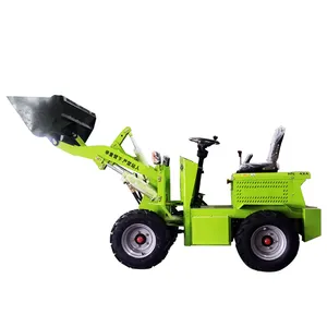 New Design Small mini Wheel Loader With Standard Bucket For Sale