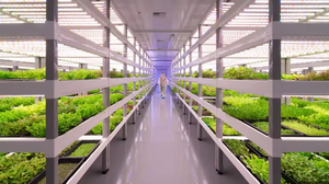 Sistema hidropónico de trampa de sujeción de piernas Sistema de cultivo aeropónico de cuneta vertical - Product Image 3