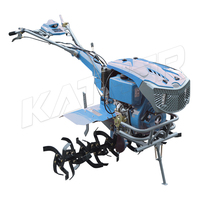 Motoculteur diesel 5hp 7hp 9hp 13hp, moteur diesel 186fa, cultivateurs de désherbage avec lampes de couverture, démarrage électrique pour les fermes, utilisation domestique