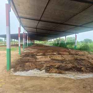 Mejor Fabricante Indio, Compost de Vermicompostaje de Calidad de Exportación, Fertilizante Orgánico - Alta Calidad Fresca, Buen Precio - Product Image 6