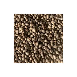 Robusta Green Beans Good Price Coffee Supplier Organic Coffee Customized Logo Jute Bag Made In Vietnam Manufacturer