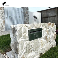 Pierre de parement en pierre calcaire beige naturelle Tostone, durable et économique, pour cheminée de villa de luxe à surface fendue
