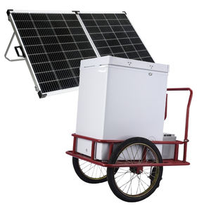 Chariot vitrine à deux roues à poussée manuelle au prix de gros Chariot à crème glacée <span class=keywords><strong>pour</strong></span> congélateur Chariot de présentation Boîte réfrigérante Chariots de vente <span class=keywords><strong>pour</strong></span> réfrigérateur - Product Image 1