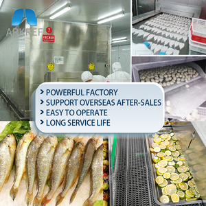 Tôm/Hải Sản Và Cá/Thịt/Gia Cầm/Khoai Tây Chiên/Đông Lạnh Làm Lạnh Nhanh Nhà Máy Sản Xuất Máy Làm Lạnh Đường Hầm <span class=keywords><strong>Iqf</strong></span> - Product Image 5