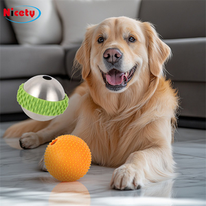 Kediler için Klasik Modern İnteraktif Yavaş Besleyici Top Oyuncak, Yok Edilemez Paslanmaz Çelik ve Silikon Evcil Hayvan Besleyici Oyuncak - Product Image 1