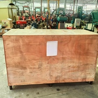 220V Einphasen-Elektrohydraulische Winch-betriebene Brunnenbohranlage mit Motor, Getriebe und Pumpe, hoher Wirkungsgrad, 100m Bohrtiefe für