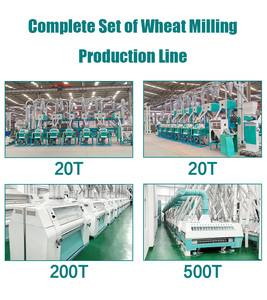 Prix d'usine 20 tonnes 30 tonnes Chakki Atta/<span class=keywords><strong>Semoule</strong></span>/Moulin à farine <span class=keywords><strong>de</strong></span> blé Machine à moudre la farine <span class=keywords><strong>de</strong></span> blé - Product Image 2