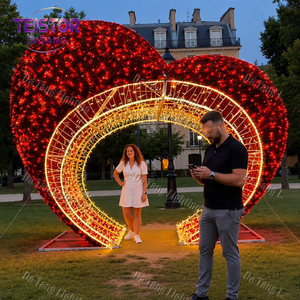 Arche lumineuse extérieure en plastique IP65 pour la décoration de Noël - Product Image 5