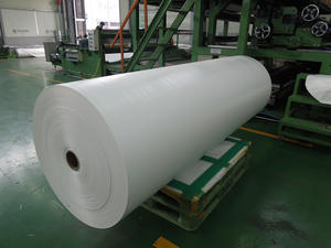 Qualité Verger et Vignoble Raisins <span class=keywords><strong>de</strong></span> <span class=keywords><strong>Table</strong></span> Pluie Bâche Protéger Couvertures <span class=keywords><strong>de</strong></span> Culture 120gsm tissé film plastique - Product Image 5