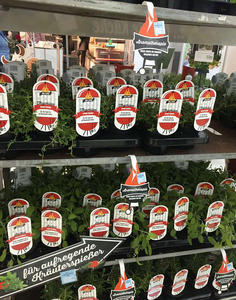 Etiqueta de planta de hortensia Etiqueta colgante de nombre de semilla Etiqueta colgante resistente a los rayos UV - Product Image 6