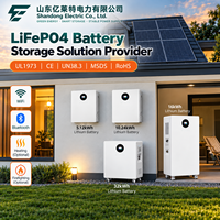 Système de stockage d'énergie solaire 5,12 kWh pour la sauvegarde à domicile, le stockage photovoltaïque résidentiel et l'intégration pour les installateurs solaires
