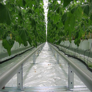 Riel de Soporte de Acero Galvanizado de Alta Calidad para Invernaderos Agrícolas, Guía para Tubos de Calefacción, Excelente Rendimiento - Product Image 2