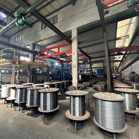 Alambre de Acero Galvanizado para Reforzamiento de Cable de Fibra Óptica