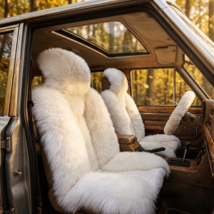 Housse de siège avant universelle en laine de luxe, véritable peau de mouton australienne, couvre-sièges de voiture en fourrure animale - Product Image 1