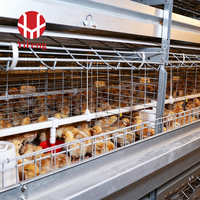 Cage à poules de type H à 4 niveaux avec alimentation et abreuvement automatiques, collecte des œufs, courroie de fumier et abreuvoir à tétine, certifiée CE, pour ferme avicole