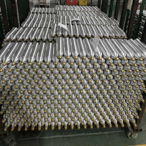 Zx 0.6l Tank Aluminium Co2 Cilinder Kooldioxide Gasflessen Verkoop