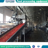 Machine professionnelle de déshydrateur de séchage de raisin de dessiccateur de bande de convoyeur de nourriture de la Chine