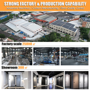 Úc tiêu chuẩn hiện đại đúc nhôm pivot cửa an ninh cho ngôi nhà sang trọng và căn hộ - Product Image 4