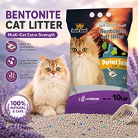 Litière pour chat en bentonite de qualité supérieure, forte absorption, contrôle des odeurs, 99 % sans poussière, fabrication OEM, marque privée, vente en gros