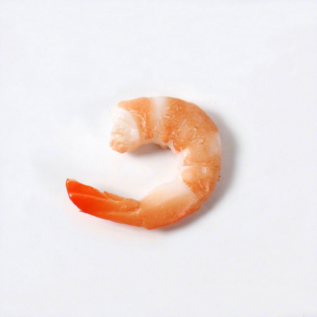 Aimants pour réfrigérateur aux crevettes