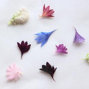 Petali di <span class=keywords><strong>fiordaliso</strong></span> fiore epossidico essiccato custodia materiale del telefono cellulare pacchetto fiore pressato - Product Image 5