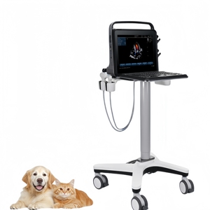 Máquina de escáner de ultrasonido veterinario tipo portátil de gran oferta, instrumentos quirúrgicos veterinarios para gatos y perros, animales de compañía - Product Image 2