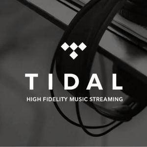 Cuenta de Suscripción Premium de Música Tidal HiFi Plus por 12 Meses en Stock - Product Image 2