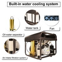 Compresseur d'air électrique PCP TUXING pour plongée sous-marine, avec double filtre intégré, refroidissement par ventilateur, 4500 psi, 220 V, 30 MPa, 300 bars, arrêt automatique, vente en gros