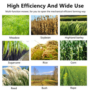 Cepilladora de césped de buena calidad, uso manual, cortadora de césped, máquina <span class=keywords><strong>desbrozadora</strong></span> manual de trabajo, mini <span class=keywords><strong>desbrozadora</strong></span> de gasolina de 4 <span class=keywords><strong>tiempos</strong></span> - Product Image 6