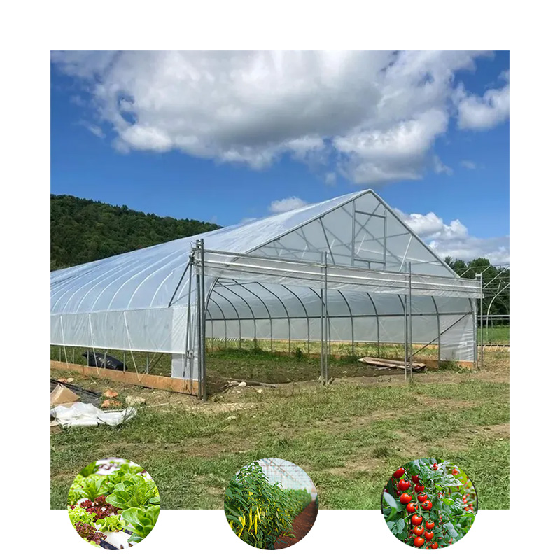 Large UV Resistant Polyethylene Film Greenhouse Plant Cover Sheeting Double Layer Polythene Garden Greenhouse Film Sheet Cover