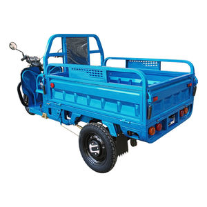 Factory EEC COC <strong>Electric</strong> Tricycle <strong>Trike</strong> 3 Wheel <strong>Motorbike</strong> for Farming Cargo Loading - Product Image 6